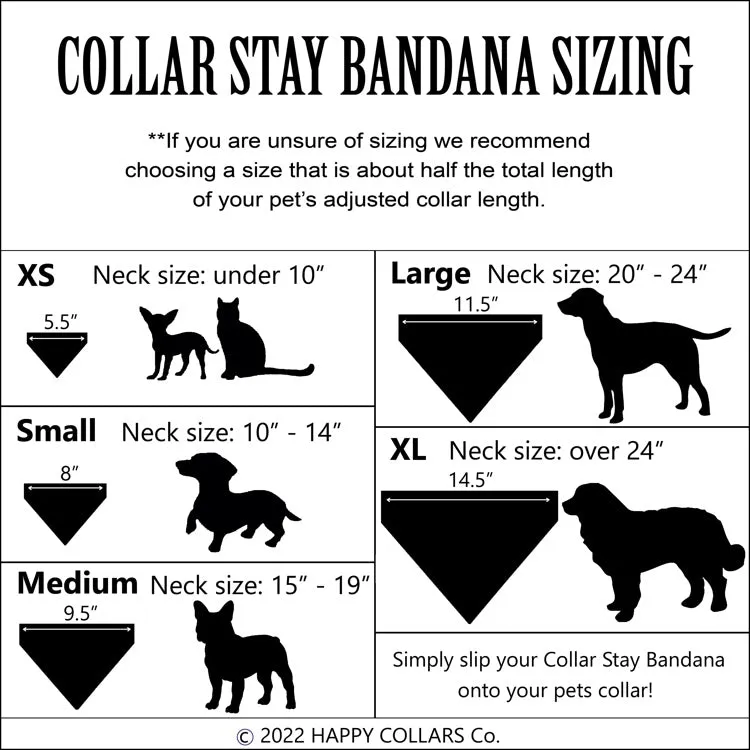 Halloween Collar Slip On Bandana