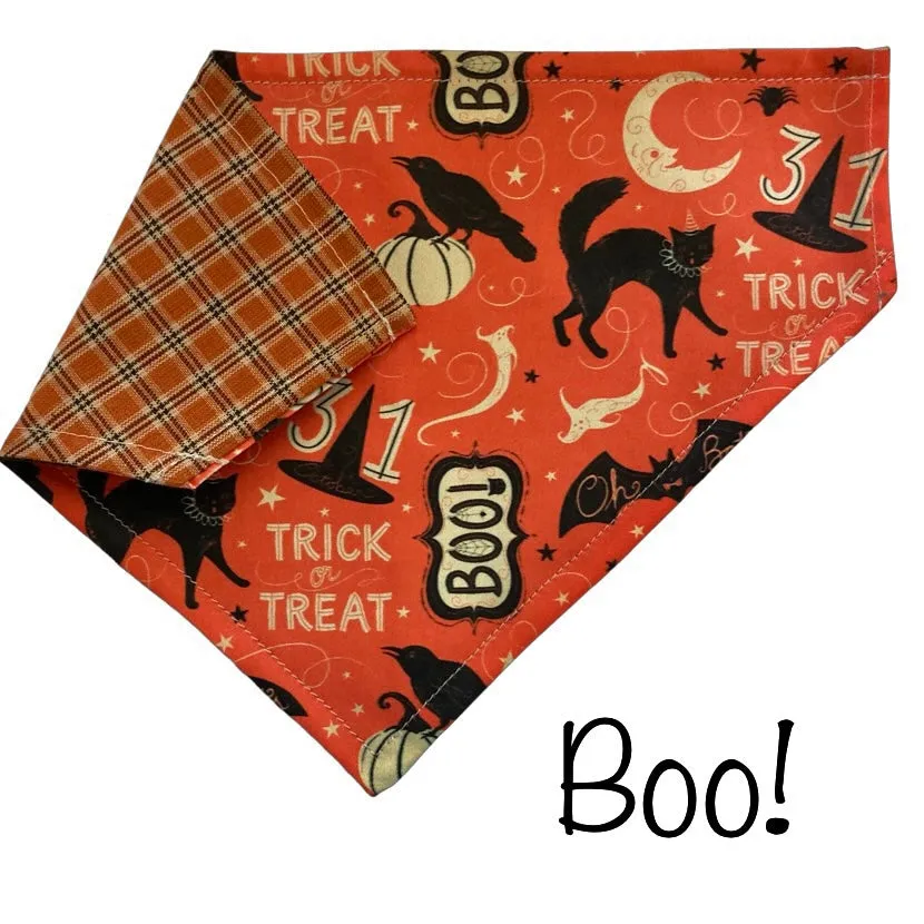 Halloween Collar Slip On Bandana