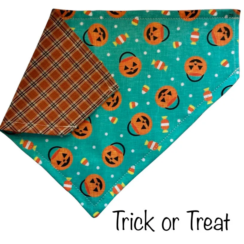 Halloween Collar Slip On Bandana