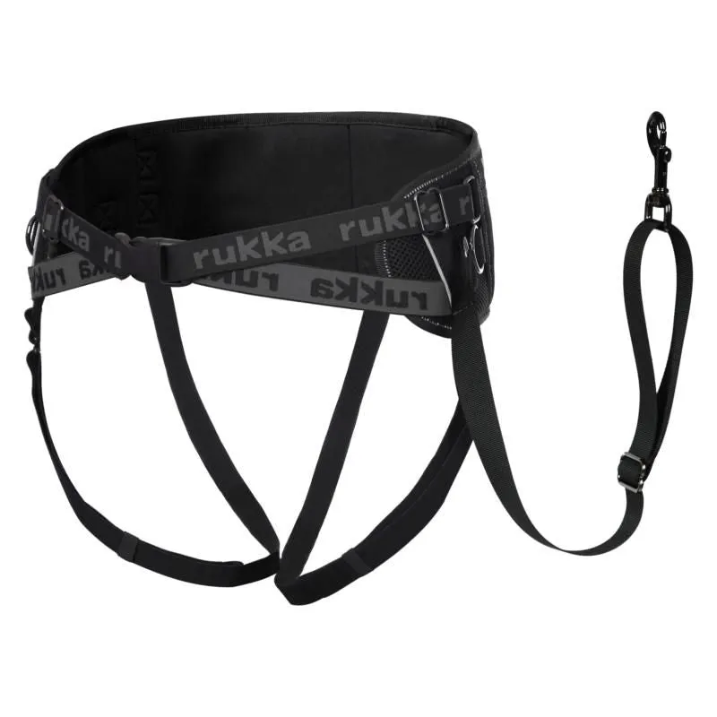 Running Belt